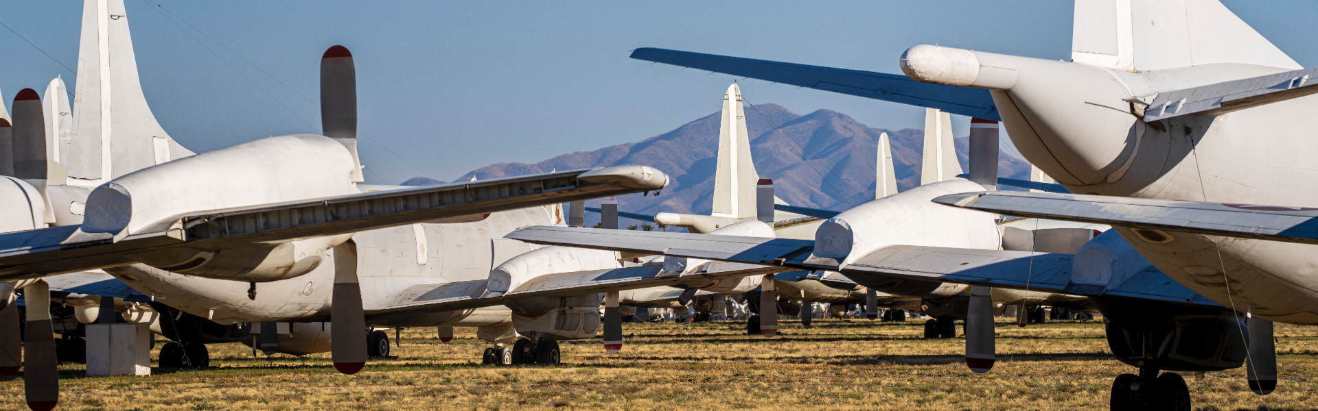 jinnianhui今年会仪器