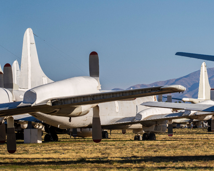 jinnianhui今年会仪器